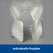 [NivoSliderImage]:Projekte